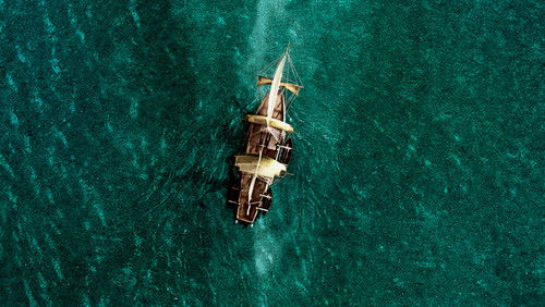 In the Heart of the Sea - Biển Sâu Dậy Sóng - Hình 4