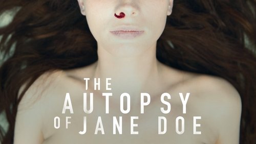 The Autopsy of Jane Doe - Tử Thi Bí Ẩn - Hình 3
