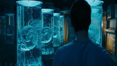 Maze Runner: The Scorch Trials - Giải Mã Mê Cung 2: Thử Nghiệm Đất Cháy - Hình 2