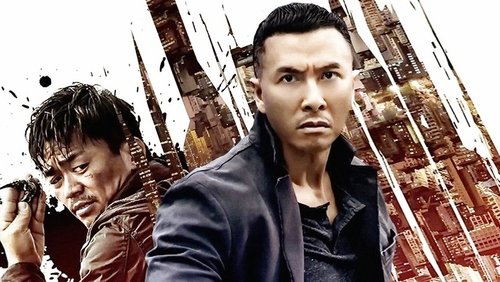 Kung Fu Jungle - Kế Hoạch Bí Ẩn - Hình 3