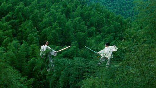 Crouching Tiger, Hidden Dragon - Ngọa Hổ Tàng Long - Hình 2