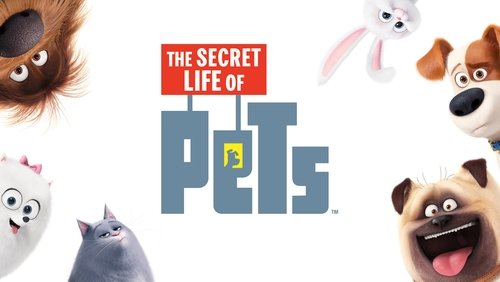The Secret Life of Pets - Đẳng Cấp Thú Cưng - Hình 6