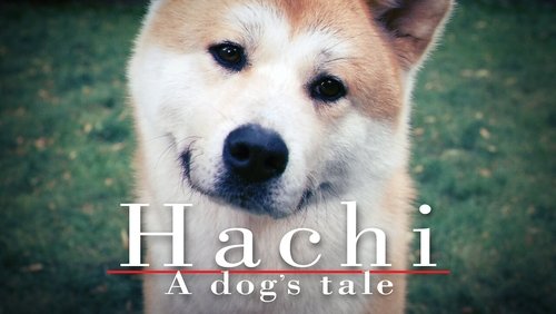 Hachi: A Dog's Tale - Hachiko Chú Chó Trung Thành - Hình 1
