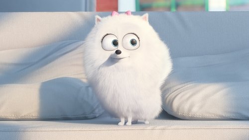 The Secret Life of Pets - Đẳng Cấp Thú Cưng - Hình 4