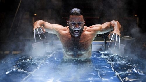X-Men Origins: Wolverine - Dị Nhân 4: Nguồn Gốc Người Sói - Hình 2