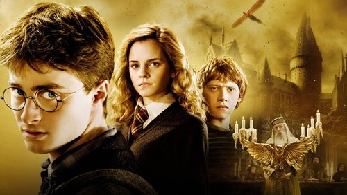 Harry Potter And The Half-Blood Prince - Harry Potter Và Hoàng Tử Lai - Hình 3