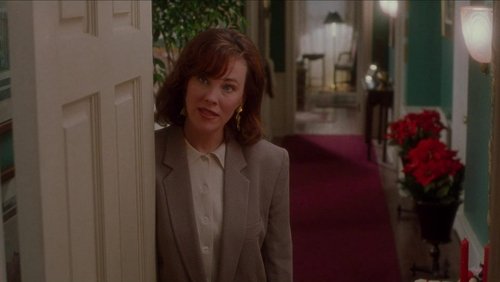 Home Alone - Ở Nhà Một Mình - Hình 2