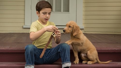A Dog's Purpose - Mục Đích Sống Của Một Chú Chó - Hình 4