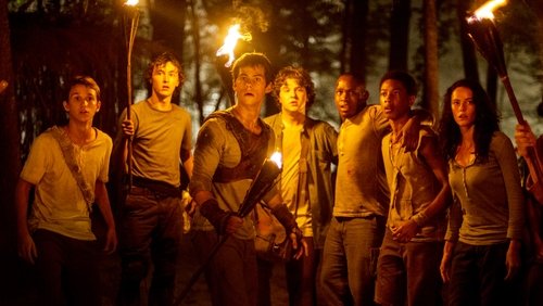 The Maze Runner - Giải Mã Mê Cung - Hình 3