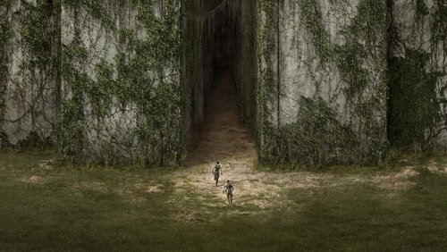 The Maze Runner - Giải Mã Mê Cung - Hình 4