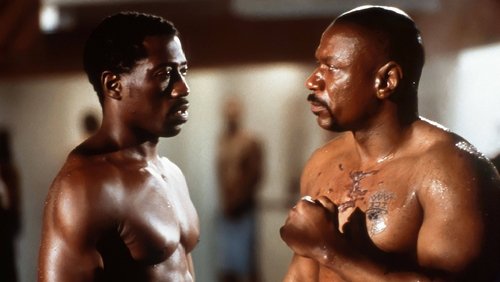 Undisputed - Quyết Đấu - Hình 1