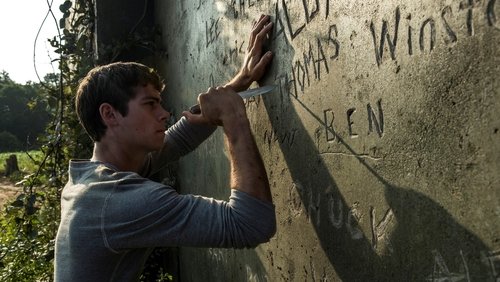 The Maze Runner - Giải Mã Mê Cung - Hình 5