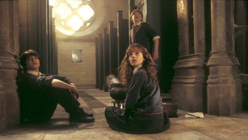 Harry Potter And The Chamber Of Secrets - Harry Potter Và Phòng Chứa Bí mật - Hình 3