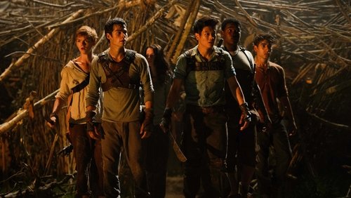 The Maze Runner - Giải Mã Mê Cung - Hình 2