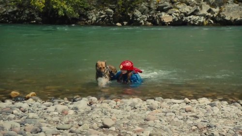 Max 2: White House Hero - Chú Chó Max 2: Cứu Tinh Nhà Trắng - Hình 3