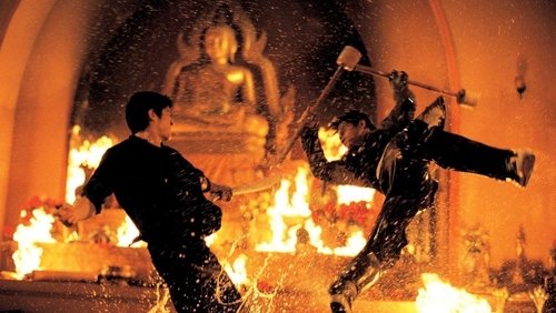 The Protector - <a class='seoclass' href='/phim/the-protector-501' title='Xem phim Người Bảo Vệ'>Người Bảo Vệ</a> - Hình 1