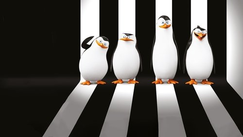 Penguins of Madagascar - Biệt Đội Cánh Cụt Vùng Madagascar - Hình 5