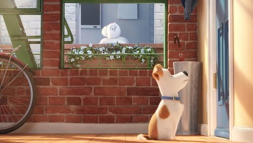 The Secret Life of Pets - Đẳng Cấp Thú Cưng - Hình 5