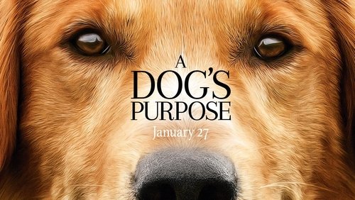 A Dog's Purpose - Mục Đích Sống Của Một Chú Chó - Hình 3