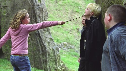 Harry Potter And The Prisoner Of Azkaban - Harry Potter Và Tên Tù Nhân Ngục Azkaban - Hình 2
