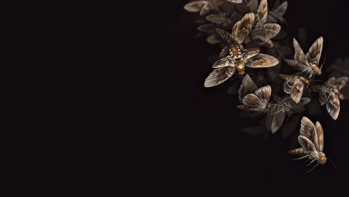 The Silence of the Lambs - Sự Im Lặng Của Bầy Cừu - Hình 3